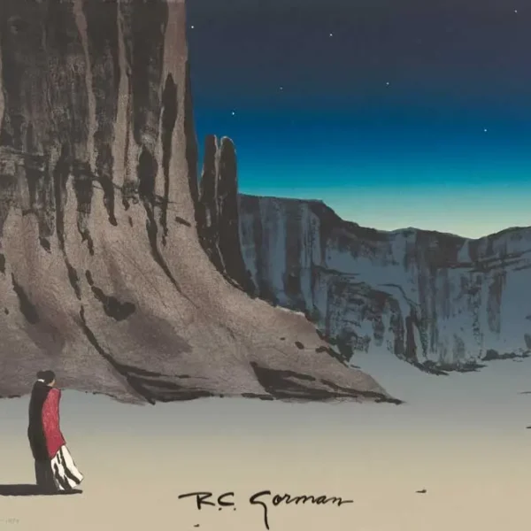 Canyon de Chelly Night