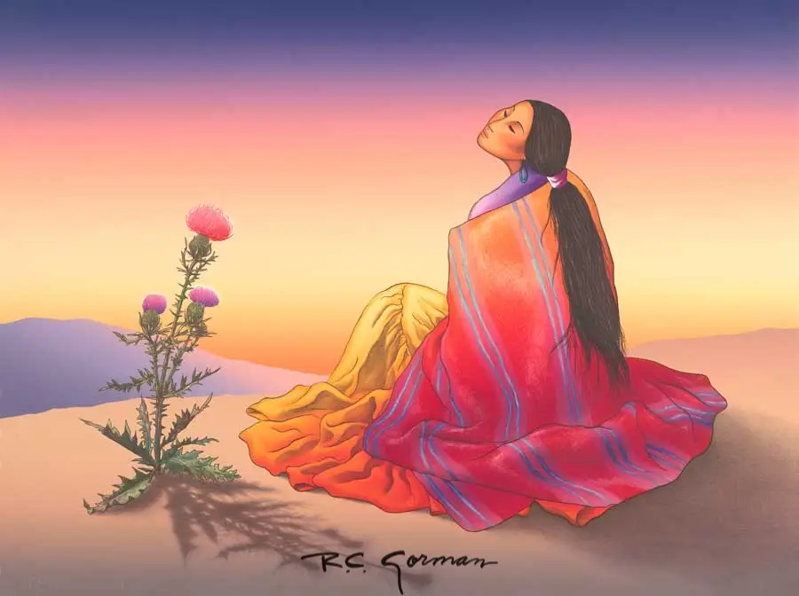 Navajo Dawn